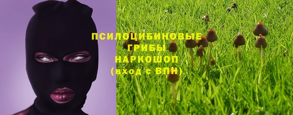 мяу мяу мука Протвино