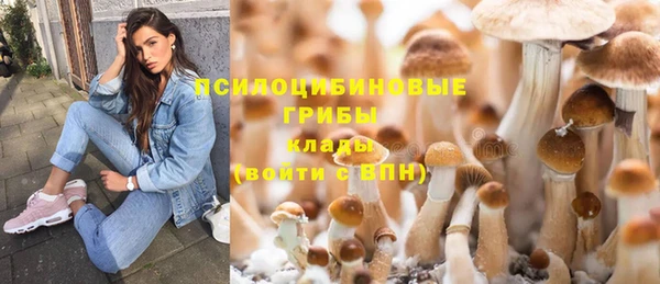 мяу мяу мука Протвино
