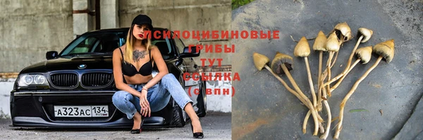 дурь Приозерск