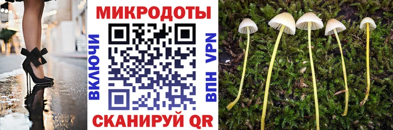 Псилоцибиновые грибы GOLDEN TEACHER  где найти   blacksprut маркетплейс  Сатка 