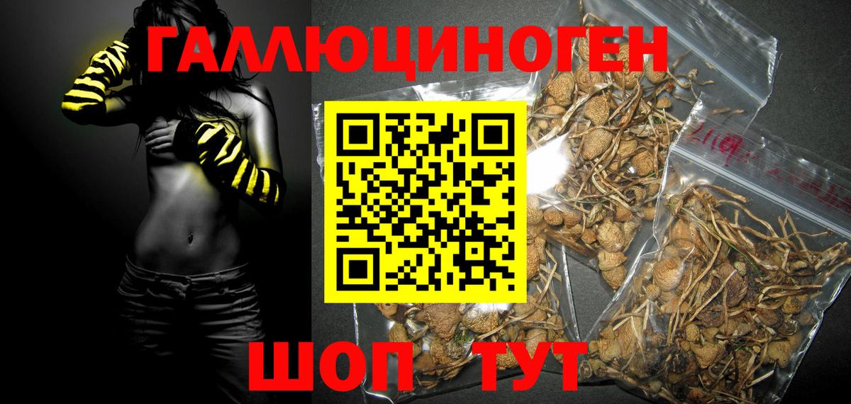 Галлюциногенные грибы GOLDEN TEACHER  Псилоцибиновые грибы Cubensis  как найти закладки  Вход с VPN  Сатка 
