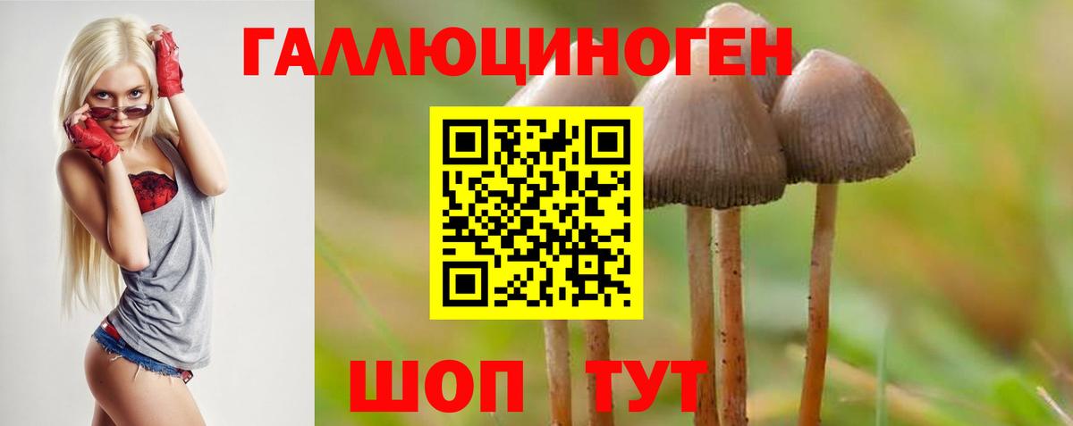 Галлюциногенные грибы прущие грибы Сатка